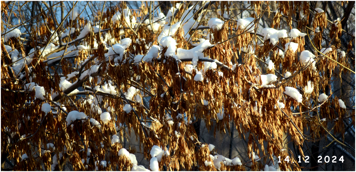 Снег порадовал и взрослых и детей.