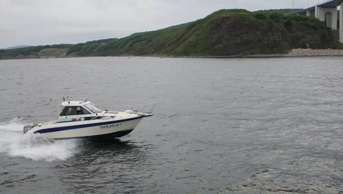     Источник: 1MI