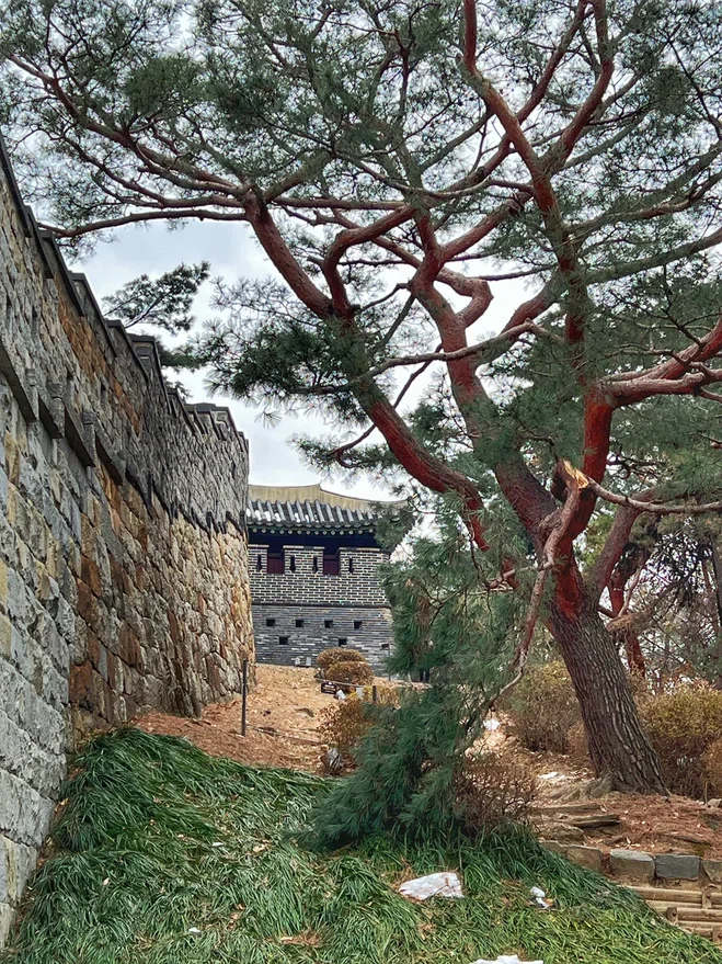 Крепость Хвасон в Сувоне. Фото автора