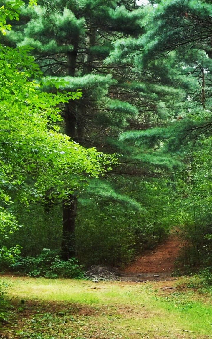 Фото из интернета. 