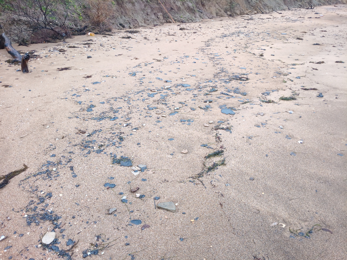 Фото участка от 22.12.2024