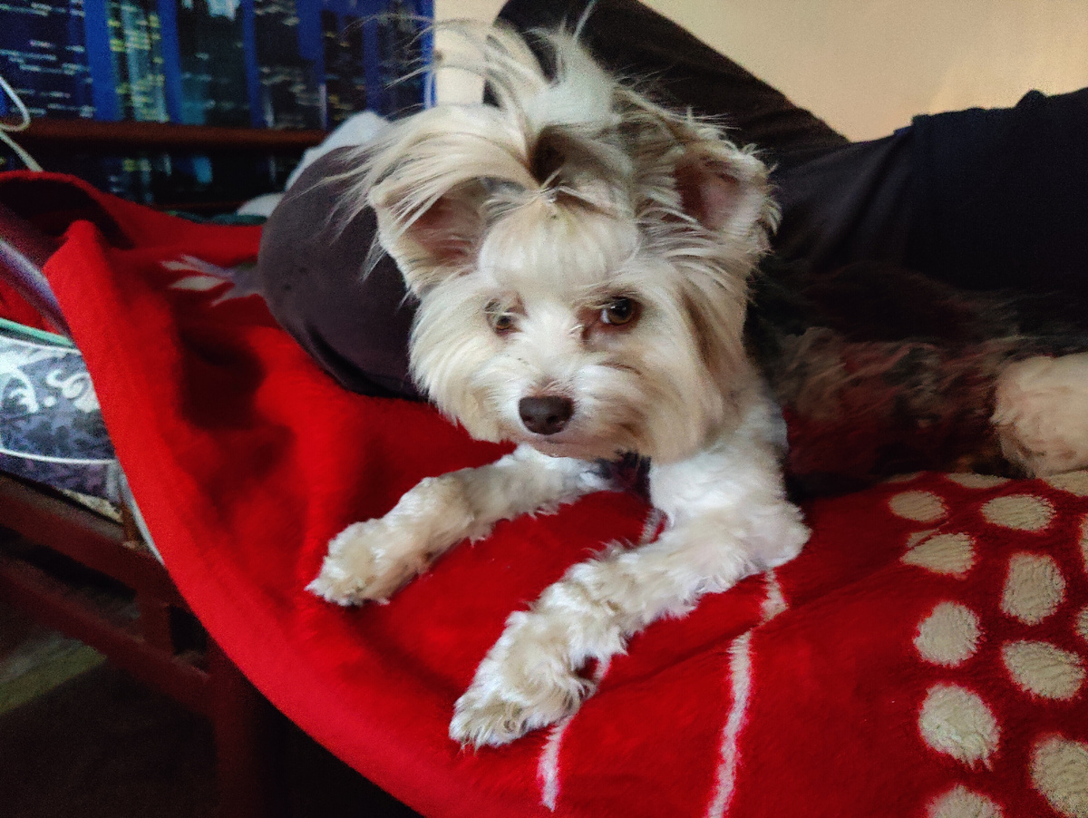 Куда Бивер делся? Я здесь!