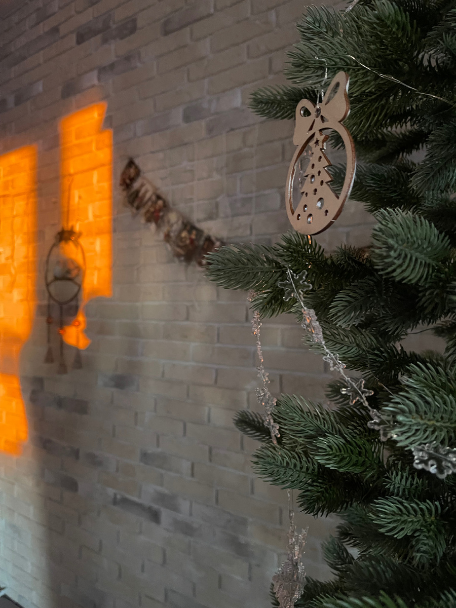 Что выйдет в новом году из моих задумок, остается лишь догадываться