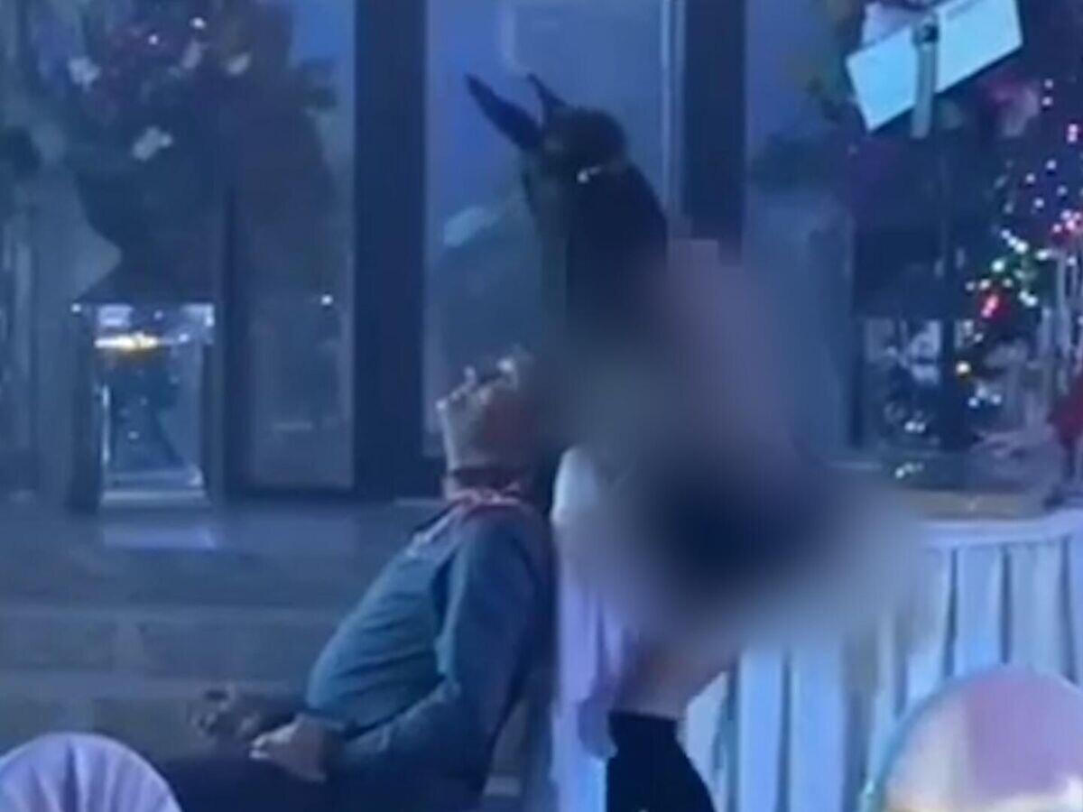    Скандальное видео с корпоратива "Ставэлектросети"© podslushano_minvody