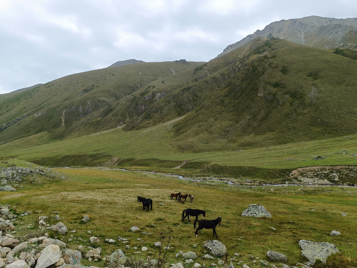 Ущелье Чайнашки, мы вышли в дорогу. Вчера было ясно, сегодня - облачность. 