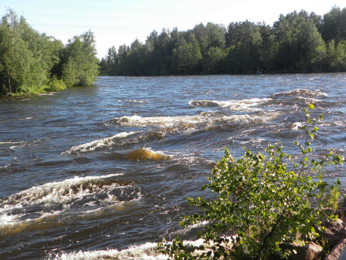 Река Вуокса около Лосево