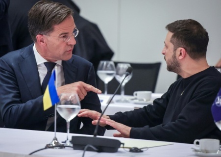    Рютте требует от Зеленского прекратить критику Шольца