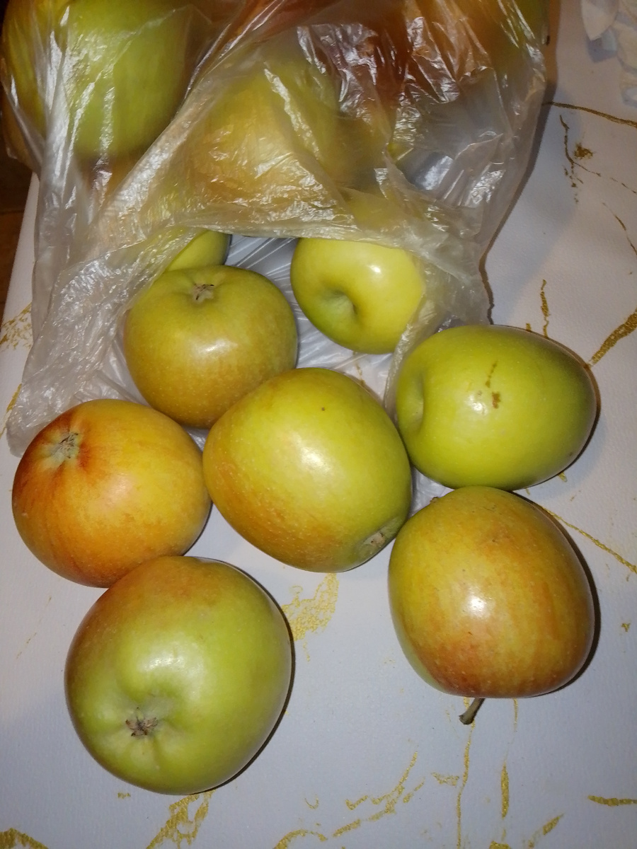 Фото автора. Свежие яблоки