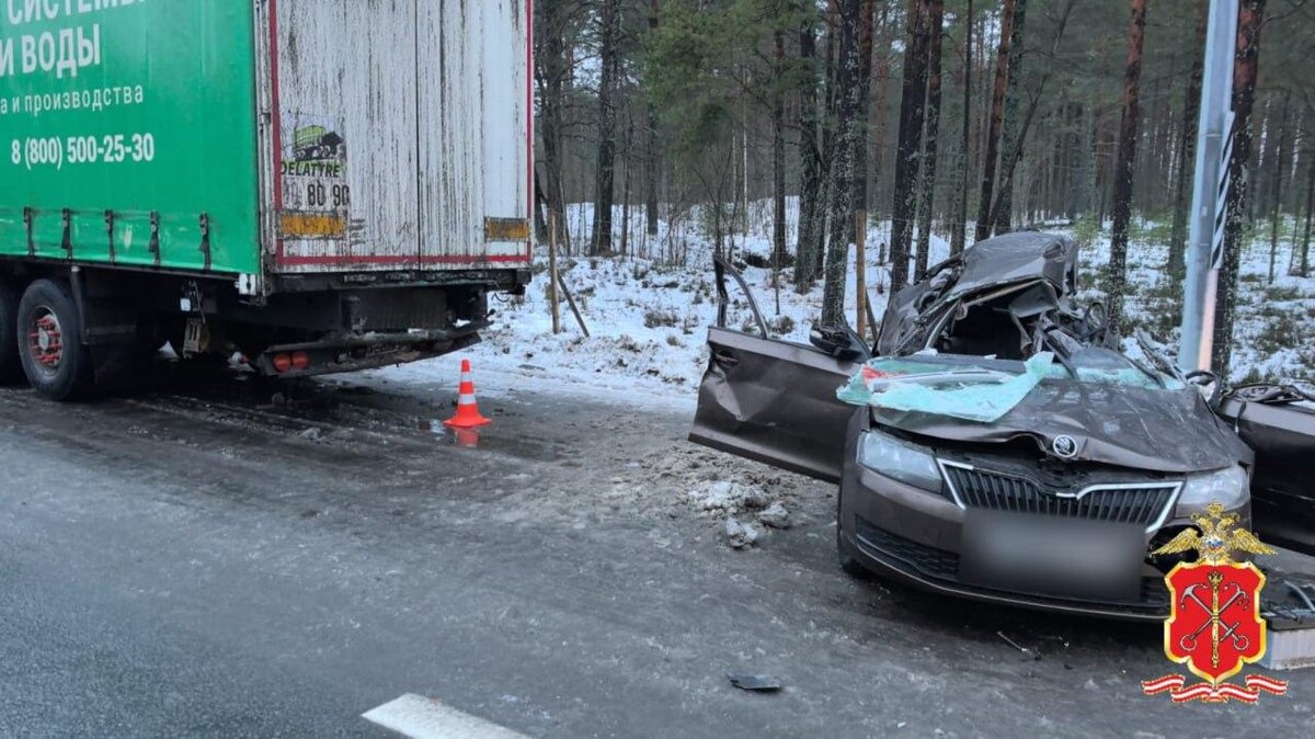    Фото: t.me/spb_police78