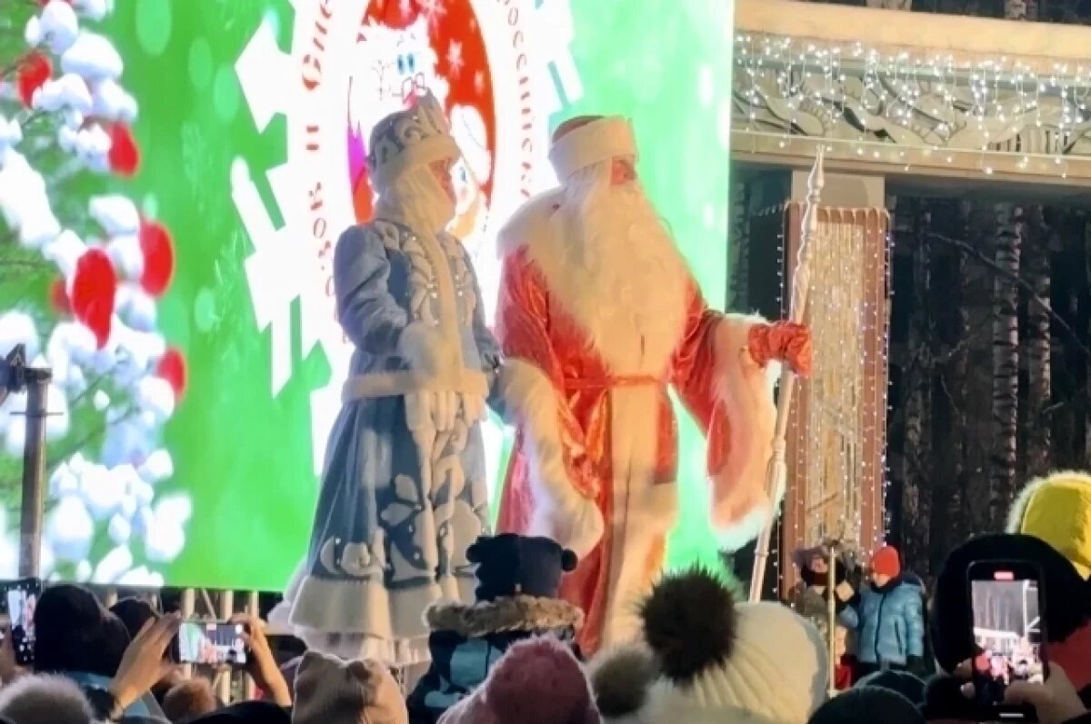    Дети из Югры могут позвонить на горячую линию Деда Мороза