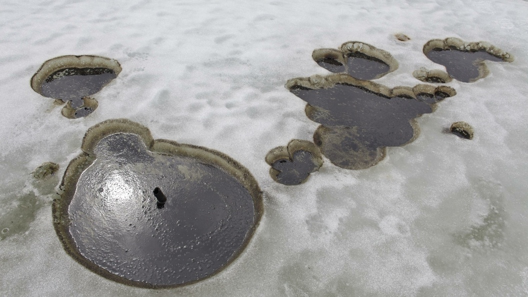    Nikolay Gyngazov/Globallookpress