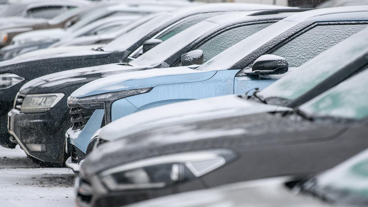    Фото: Ilya Moskovets/globallookpress.com