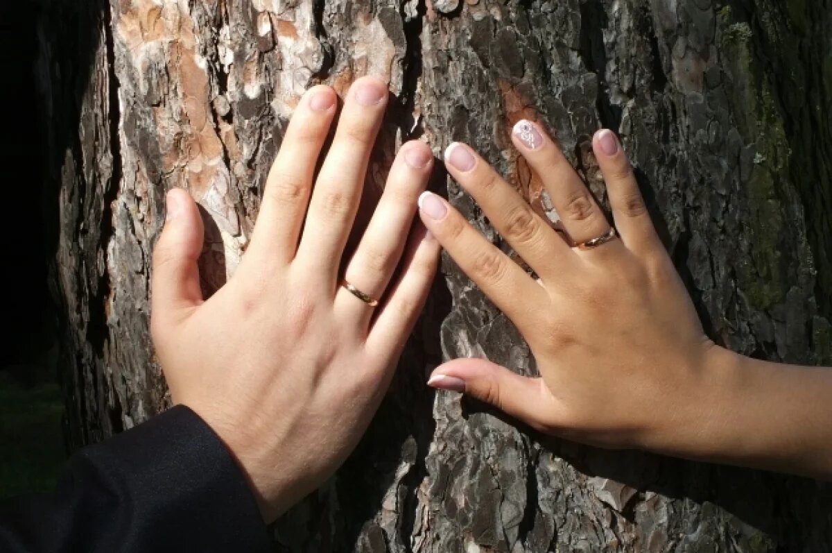    Религиозные родственники преследовали новосибирца и его новую супругу