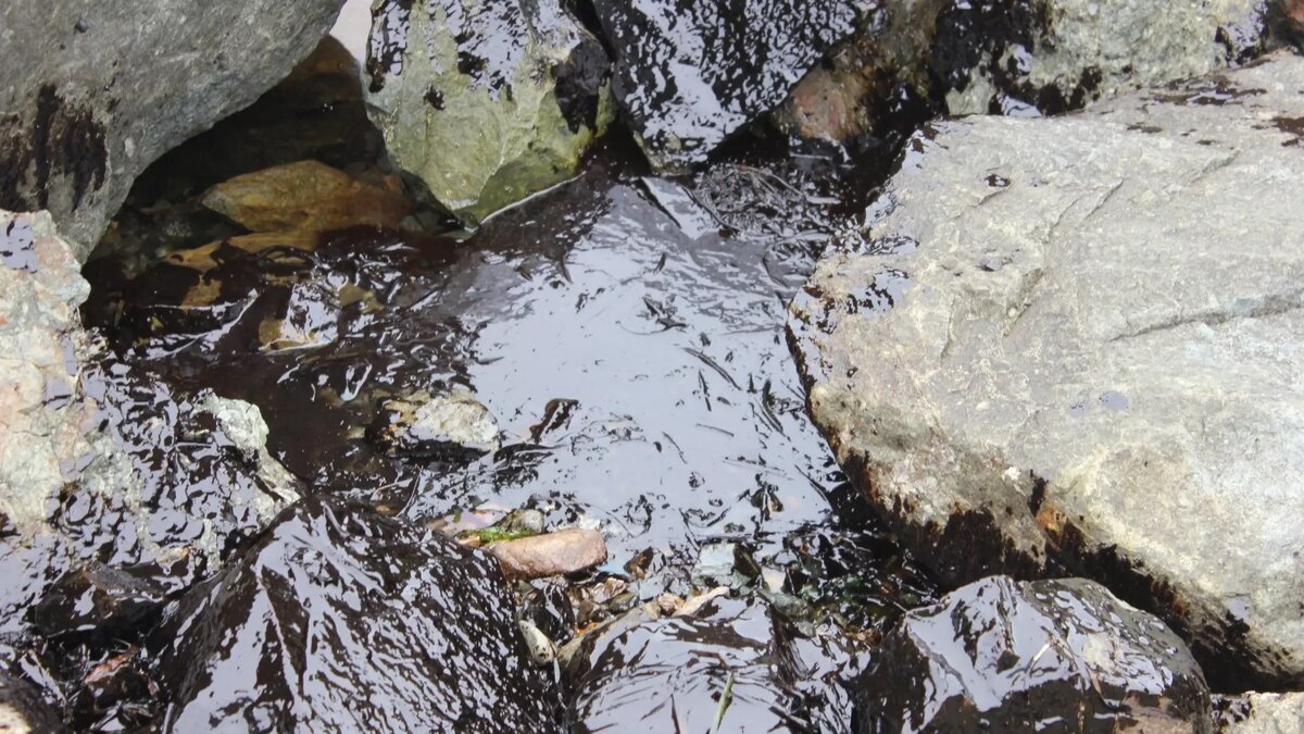     Источник: 1MI