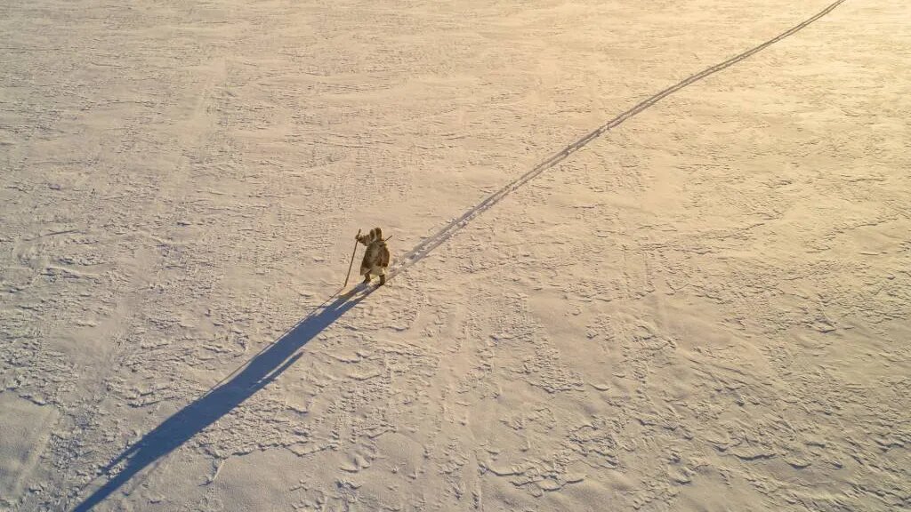 Фото: Александр Романов/«Красный Север»/АНО «Ямал-Медиа»