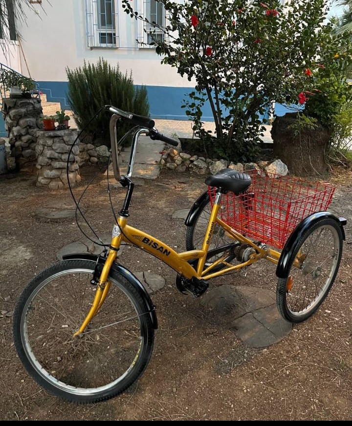 Красавчик! А какая красная корзина!