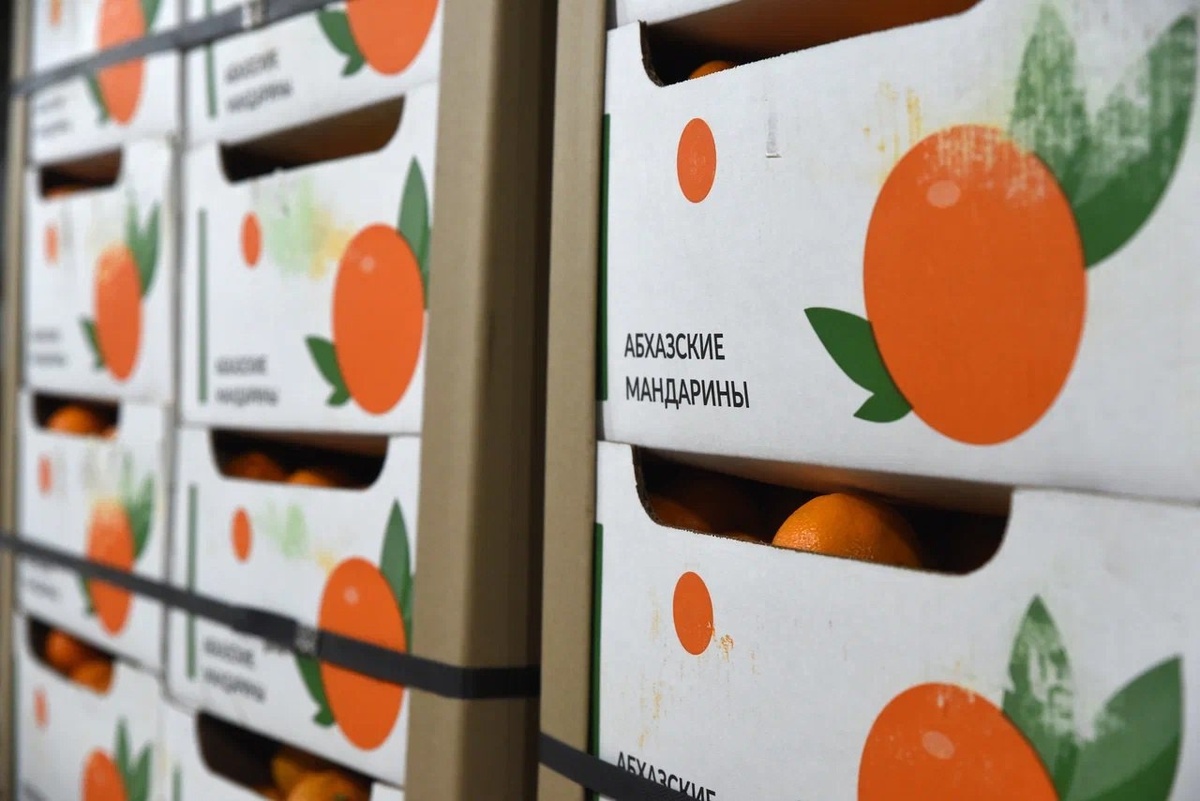    Для жителей приграничья Курской области доставили 20 тонн мандаринов и 5 тысяч подарков