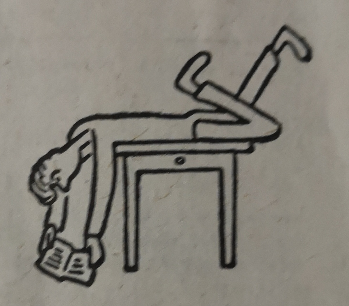 не вниз головой, а книгу перевернув "вверх низом"