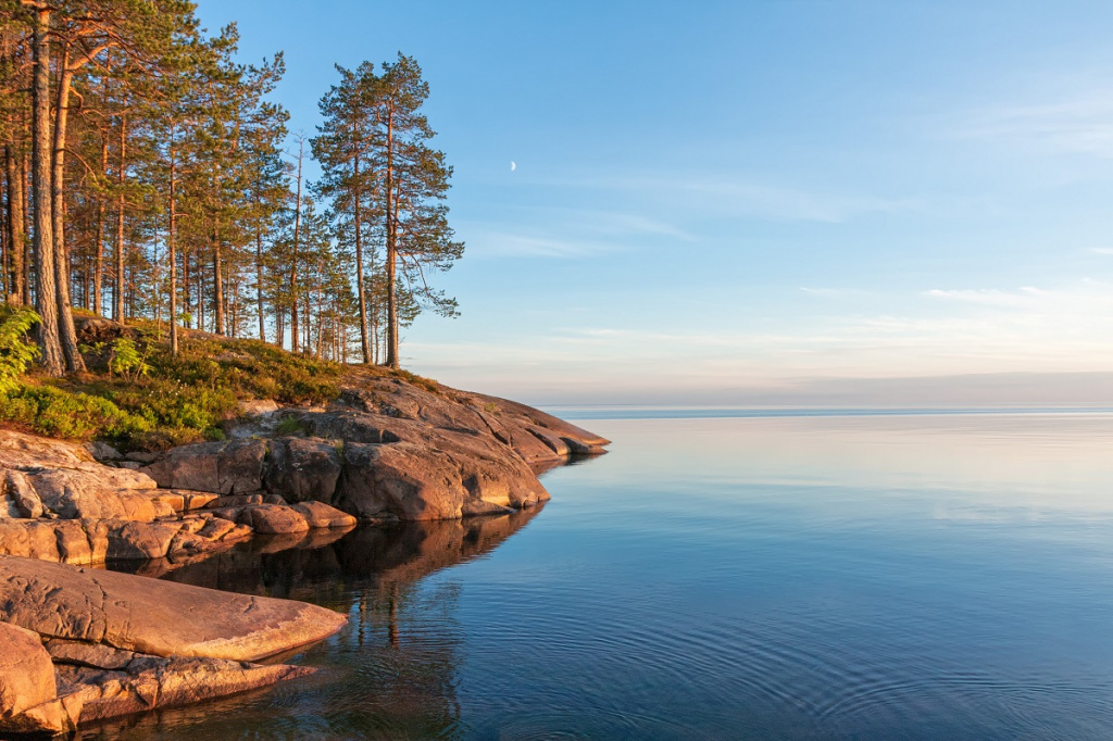 Фото: shutterstock