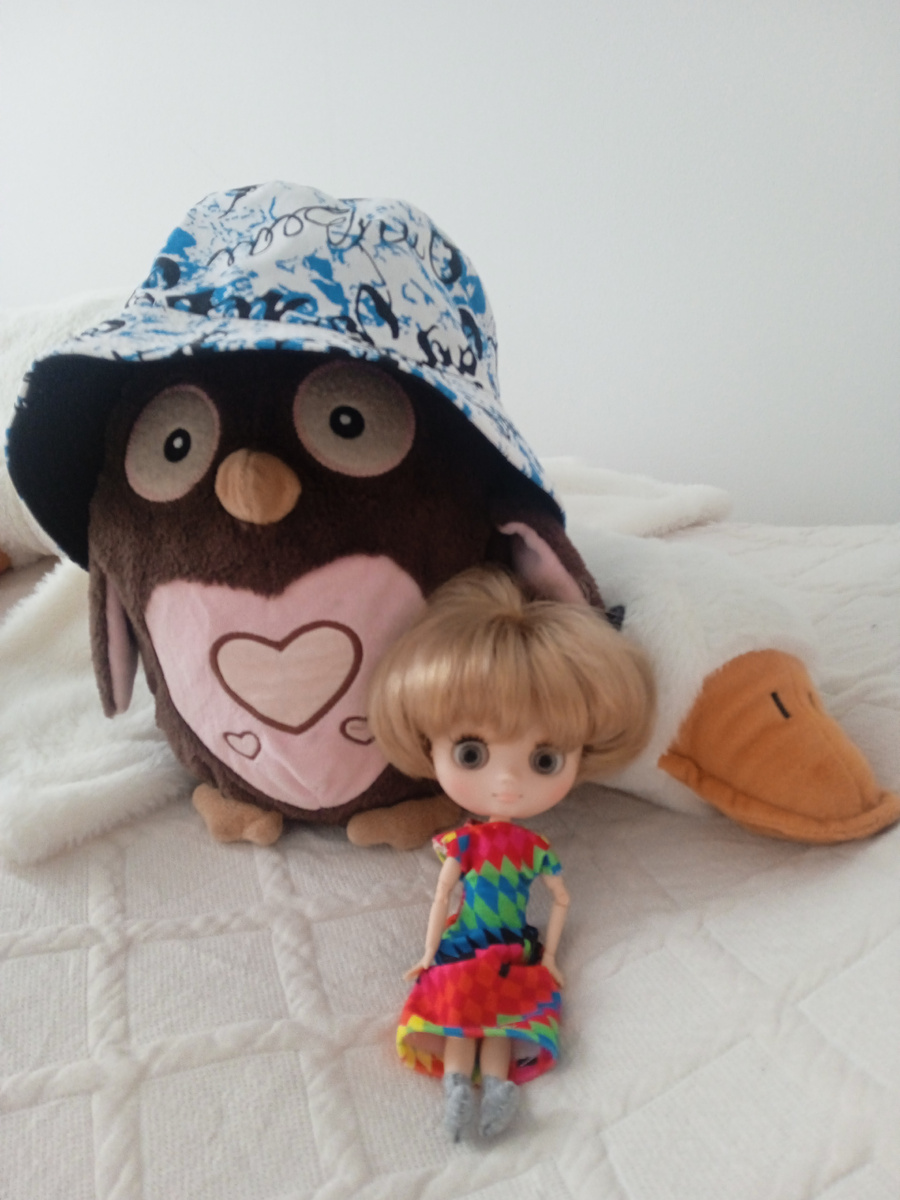 Сова собирается в отпуск. Софа и Гусь недоумевают. Фото автора.