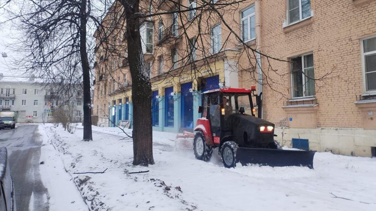    Фото: пресс-служба комитета по благоустройству Санкт-Петербурга