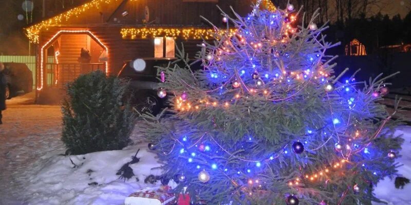 Фото из открытых источников.