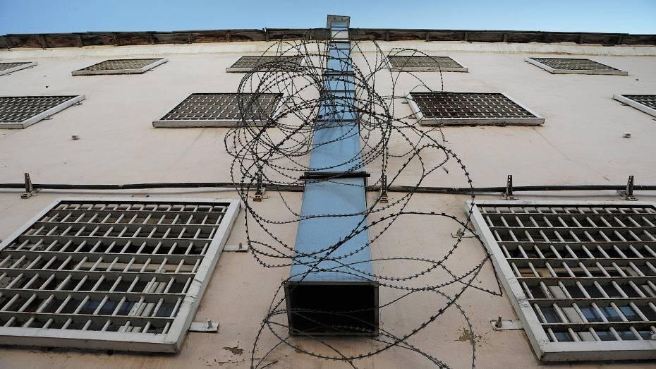    Фото: МВД Медиа