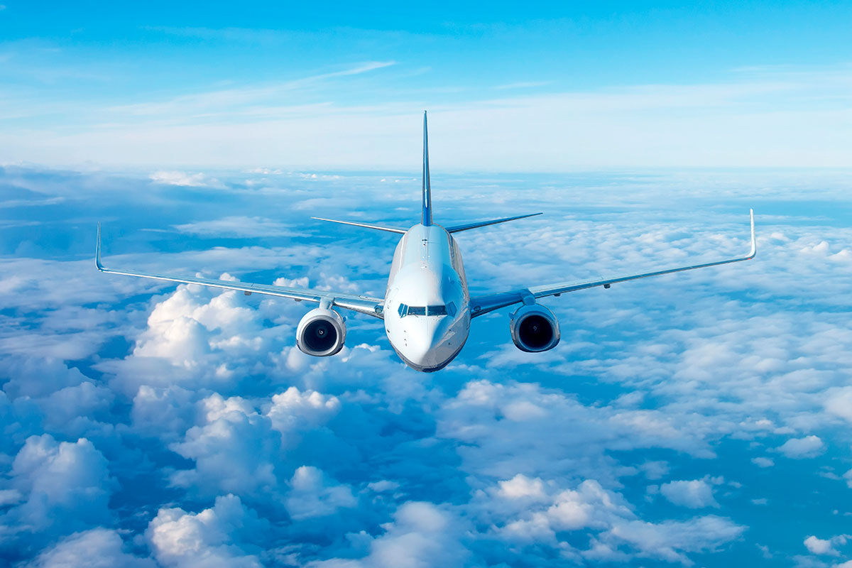    Фото: aappp / Shutterstock.com