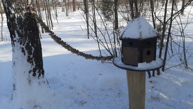     В Изумрудном парке. Аltapress.ru