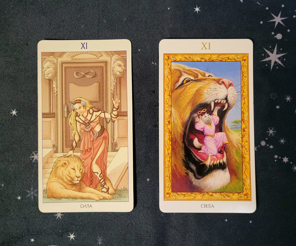 Аркан "СИЛА" из колоды "Таро 78 дверей" и колоды "Таро Белых кошек"
