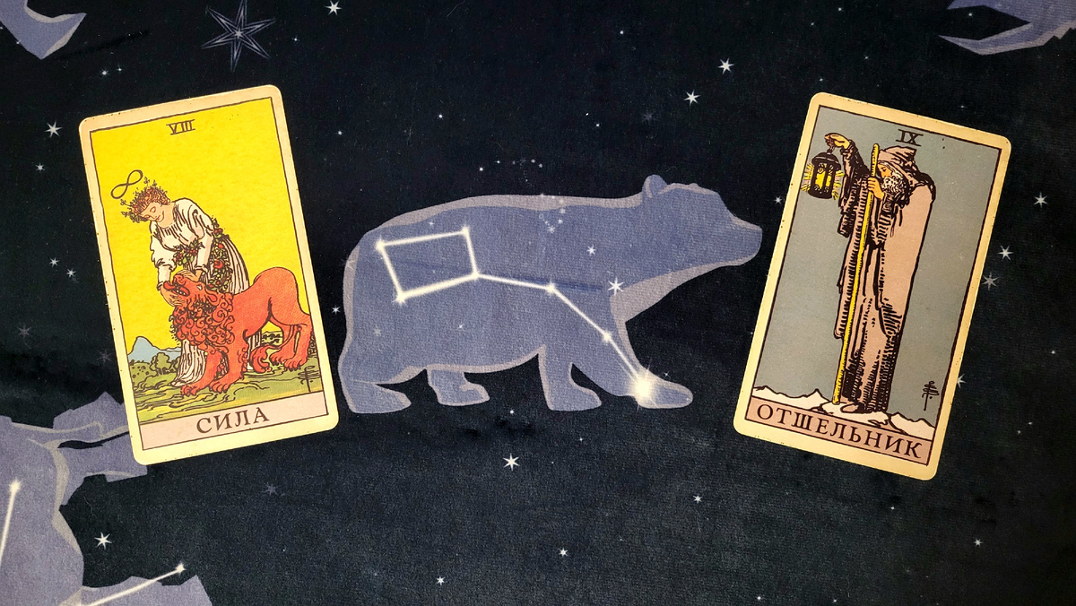                 2024 год: Аркан "СИЛА"                             2025 год: Аркан "ОТШЕЛЬНИК"