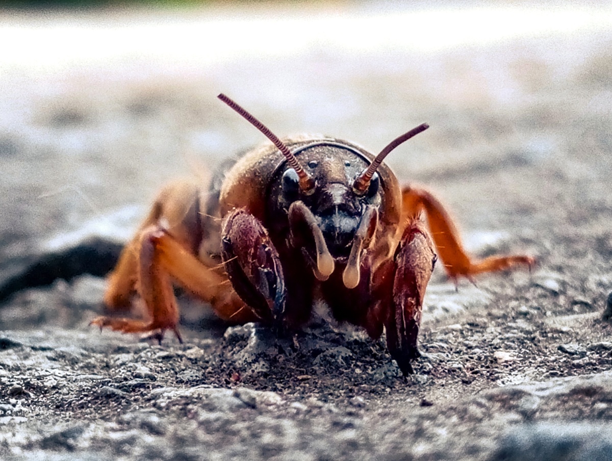 Типичный сосед, когда включает музыку в 3 часа ночи.