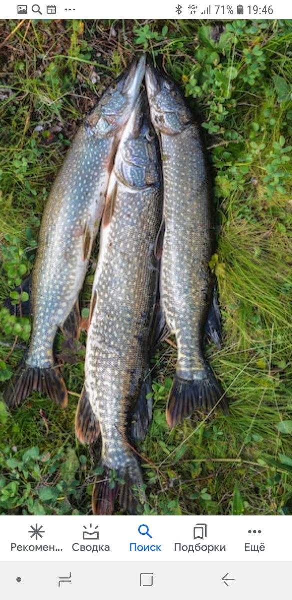 Фото с интернета.