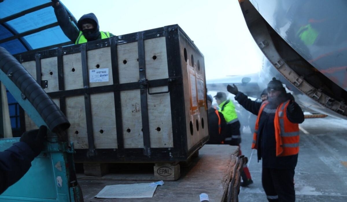     Аэропорт Якутии. Источник: t.me/yksaeroport Автор фото: Пресс-служба аэропорта Якутск