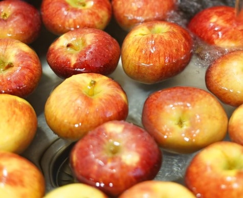    Фото: unsplash.com/@sta