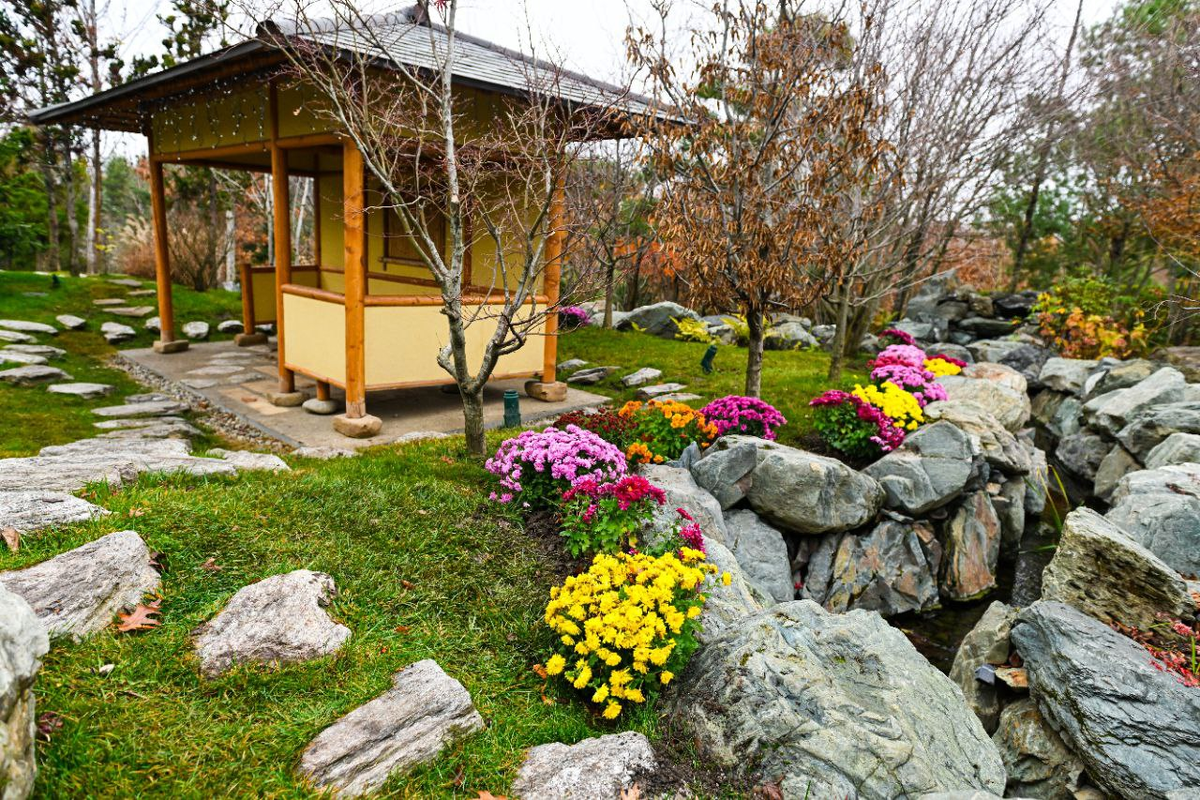 Парк Галицкого. фото https://t.me/parkkrd