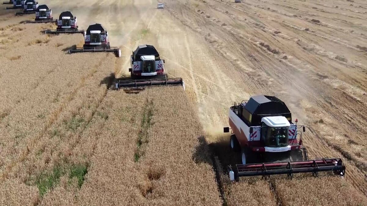    Аграрии двух районов Башкирии экспортировали в Европу 879 тонн льна