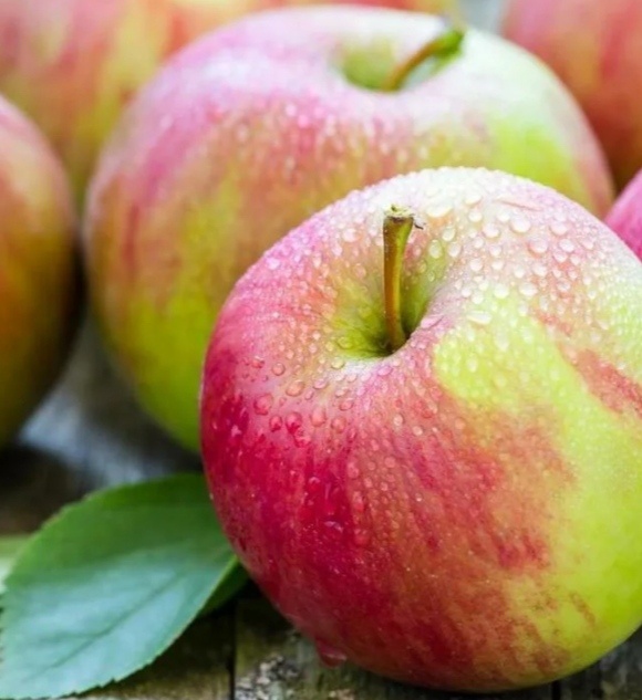 Яблоко плод соблазна. 