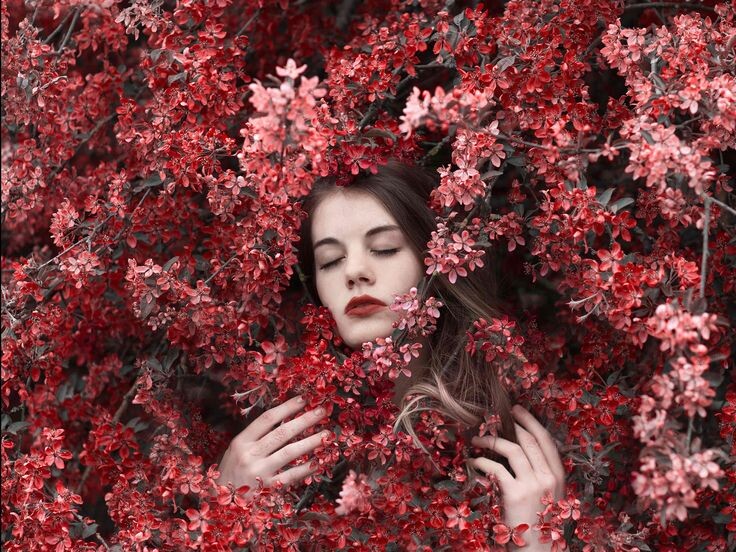 Фото из Интернета