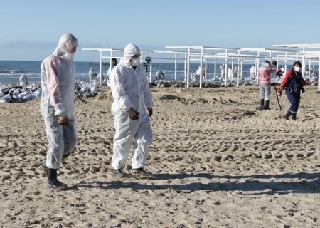    Местные власти не справляются с очисткой берега от мазута. Жители курортной Анапы обратились за помощью к Путину