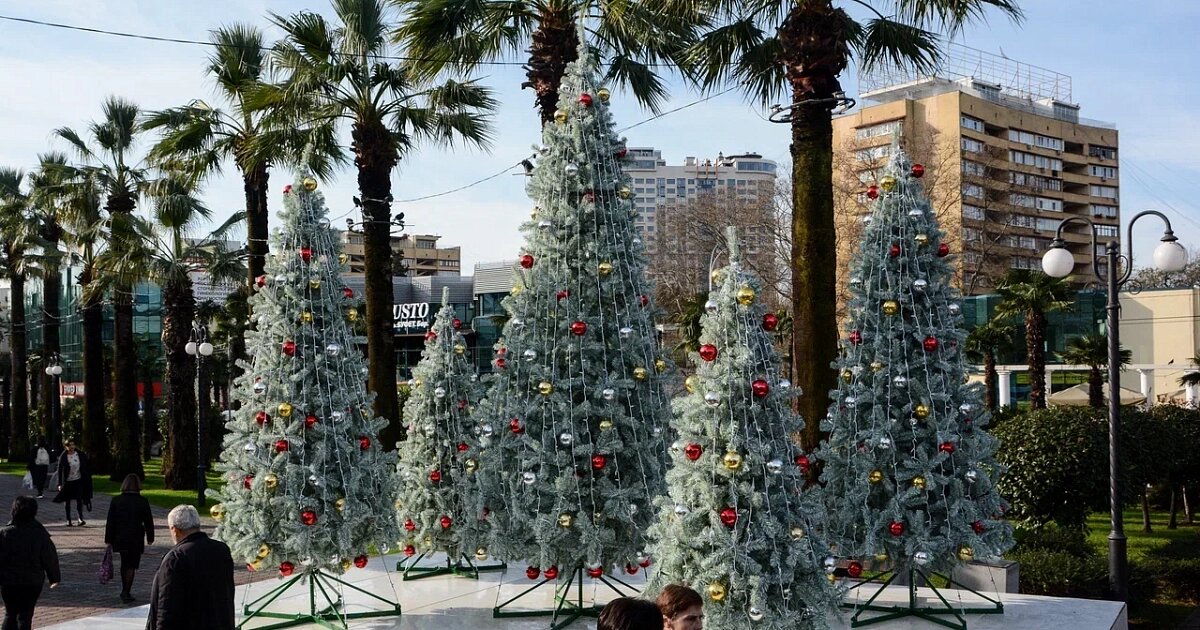 Фото из открытых источников