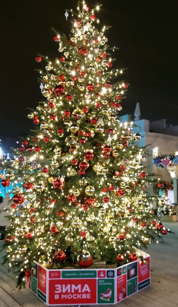 Из архива автора