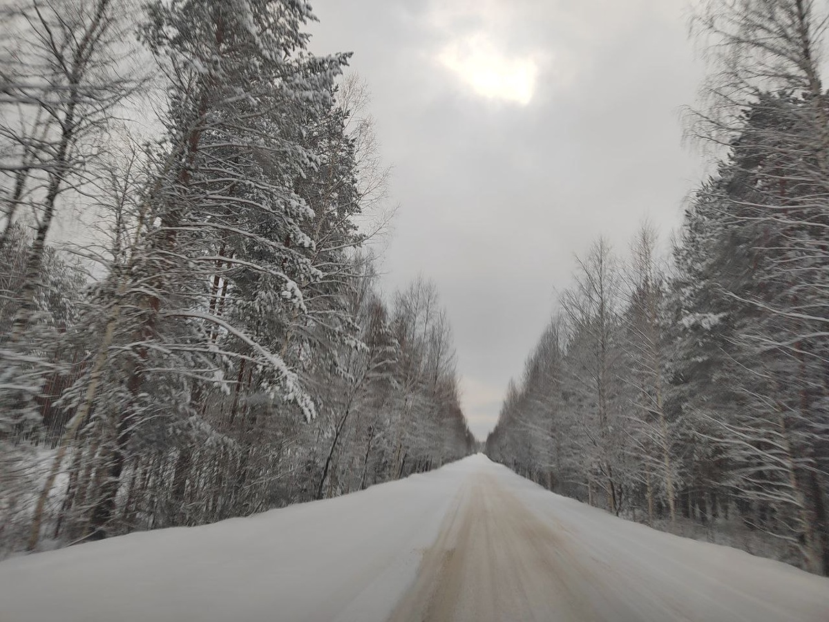 Фото места за несколько километров до быстрцко-клюкинском повороте