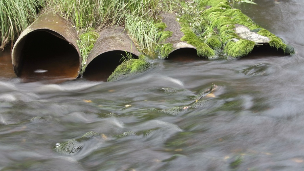    ФОТО: © NIKOLAY GYNGAZOV/GLOBAL LOOK PRESS