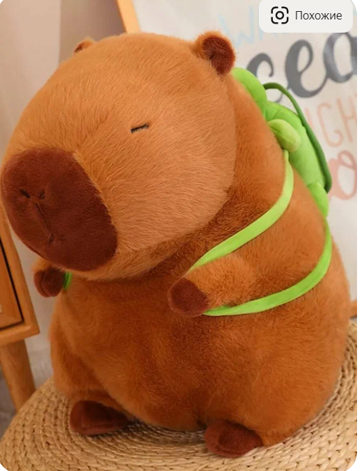 Фото взято с Яндекс.Маркет. Такую же капибару мы подарили подружке.