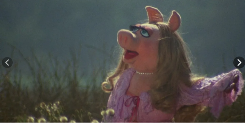 Мисс Пиггги из открытых источников.