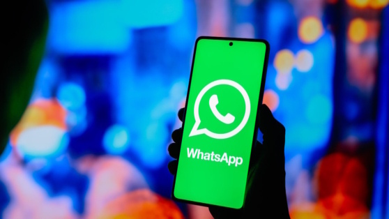    В Госдуме заявили, что информации о готовящейся блокировке WhatsApp нет Андрей Бурков