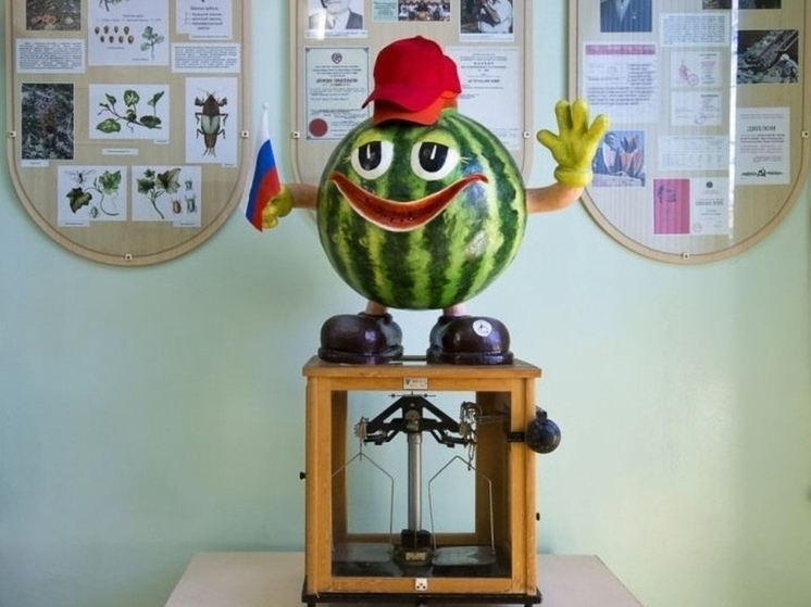 Такого вы точно еще не видели! Музей арбузов в Астрахани