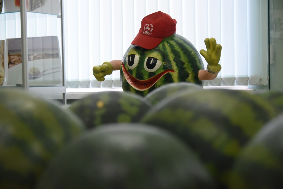 Такого вы точно еще не видели! Музей арбуза в Камызяке