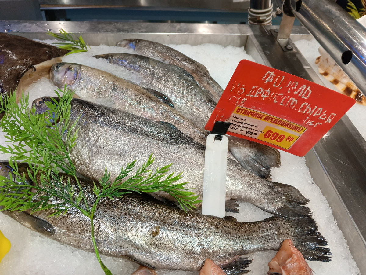 фото автора: форель подвергалась заморозке и разморозке